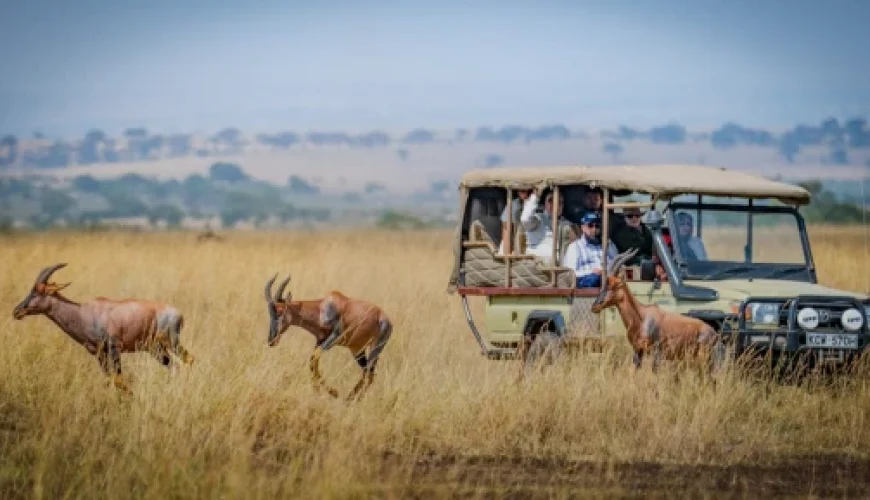 Pure Luxe in Punta Mita the original contained