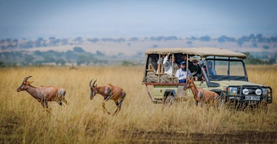 Pure Luxe in Punta Mita the original contained