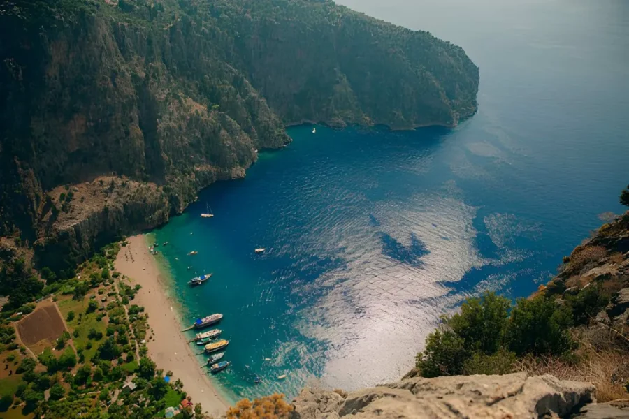 butterfly valley