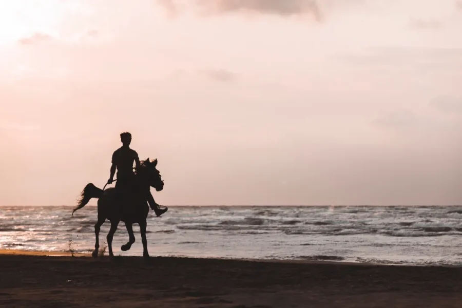 Patara Sunset Horse Riding Experience