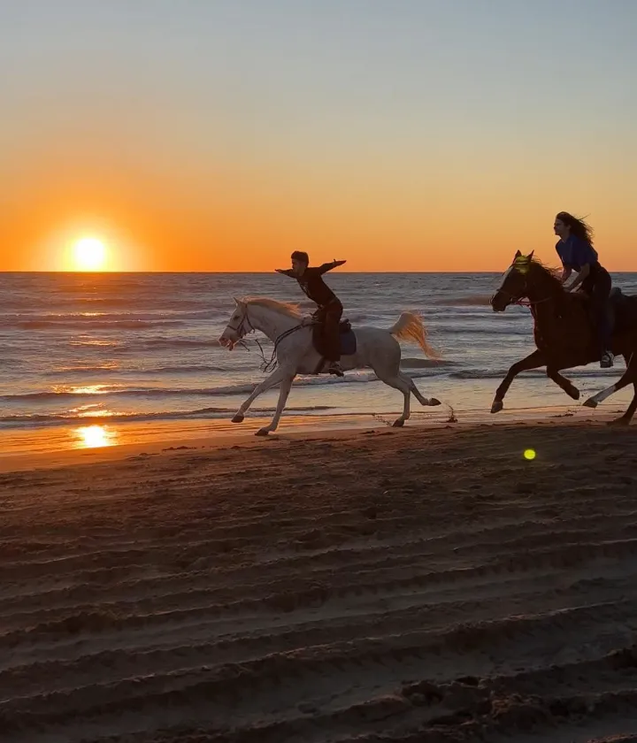 Patara Sunset Horse Riding Experience