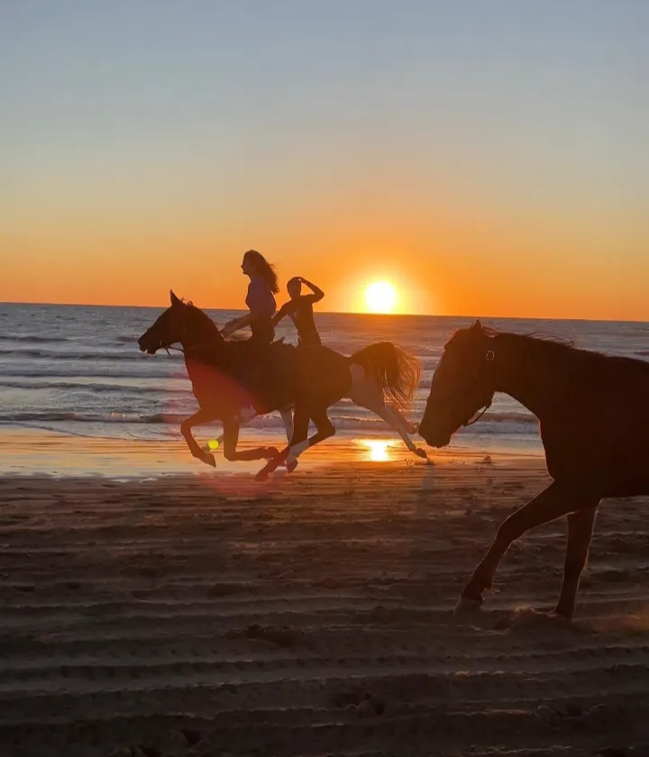 Patara Sunset Horse Riding Experience